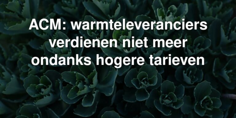 acm warmteleveranciers verdienen niet meer ondanks hogere tarieven