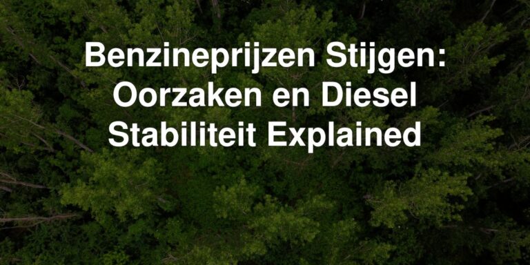 benzineprijzen stijgen oorzaken en diesel stabiliteit explained