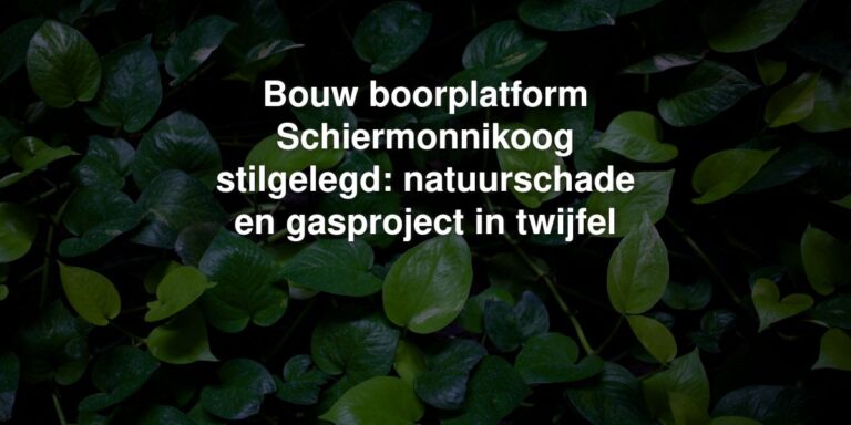 bouw boorplatform schiermonnikoog stilgelegd natuurschade en gasproject in twijfel