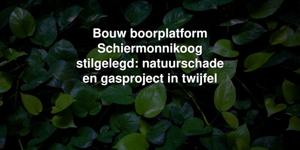 bouw boorplatform schiermonnikoog stilgelegd natuurschade en gasproject in twijfel