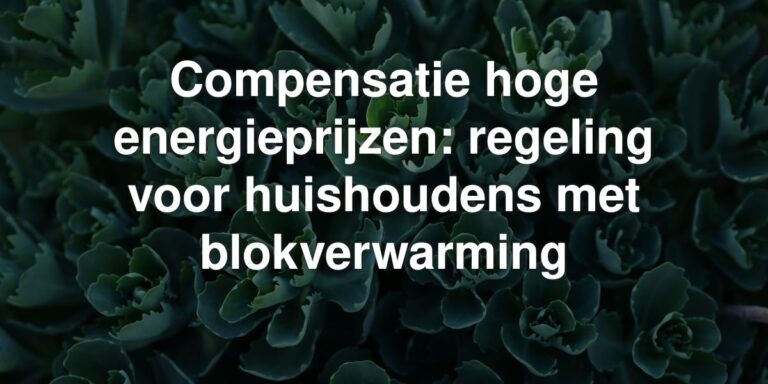 compensatie hoge energieprijzen regeling voor huishoudens met blokverwarming