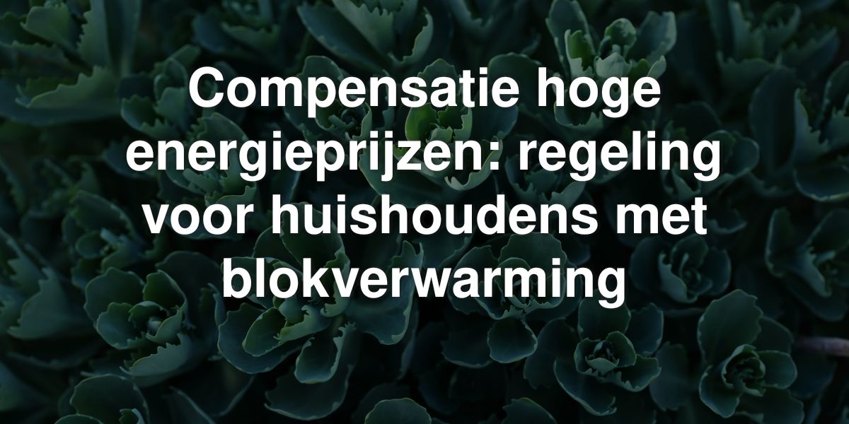 compensatie hoge energieprijzen regeling voor huishoudens met blokverwarming