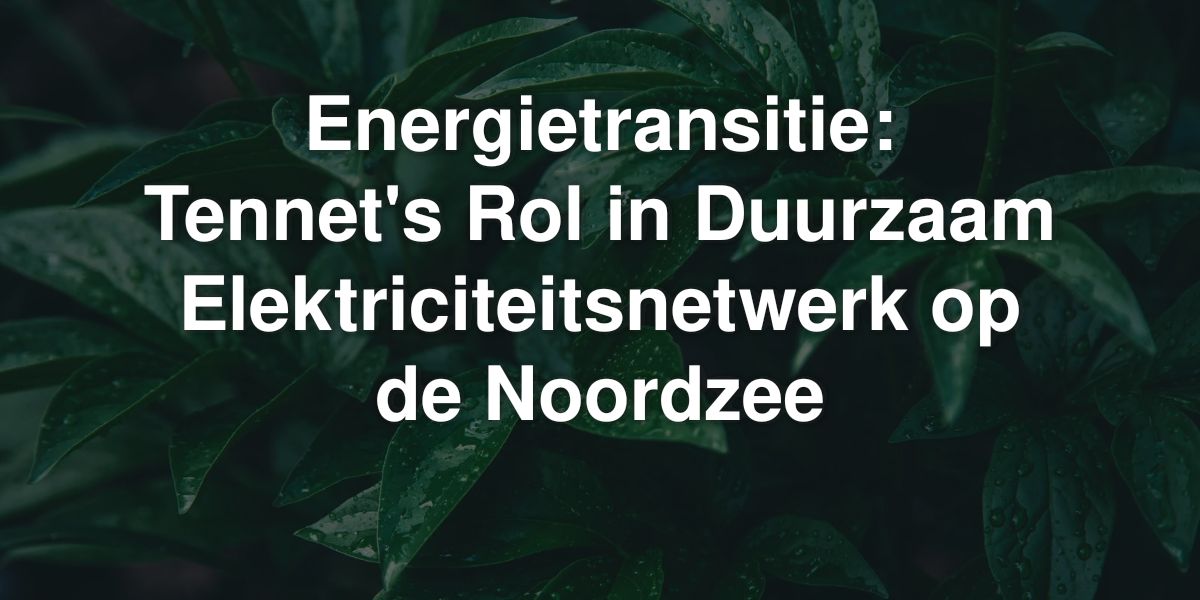 energietransitie tennets rol in duurzaam elektriciteitsnetwerk op de noordzee