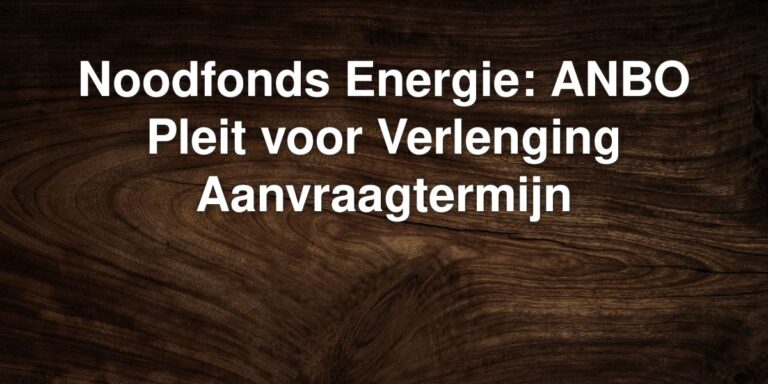 noodfonds energie anbo pleit voor verlenging aanvraagtermijn