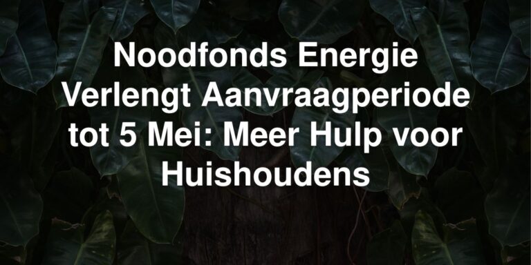 noodfonds energie verlengt aanvraagperiode tot 5 mei meer hulp voor huishoudens