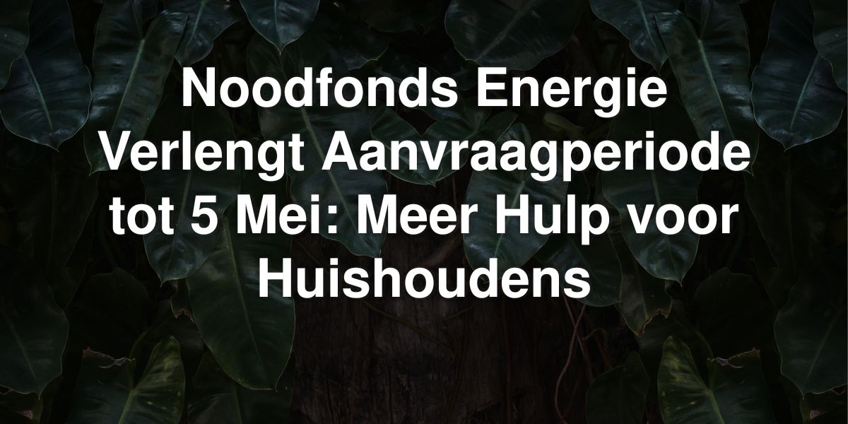 noodfonds energie verlengt aanvraagperiode tot 5 mei meer hulp voor huishoudens