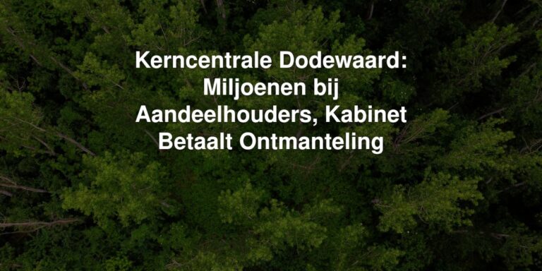 kerncentrale dodewaard miljoenen bij aandeelhouders kabinet betaalt ontmanteling