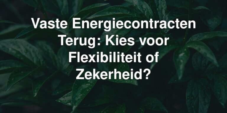vaste energiecontracten terug kies voor flexibiliteit of zekerheid